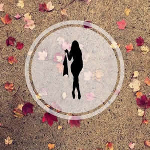 苍老师之废柴同盟